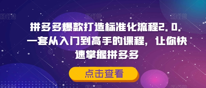拼多多爆款打造标准化流程2.0，一套从入门到高手的课程，让你快速掌握拼多多-百货大全