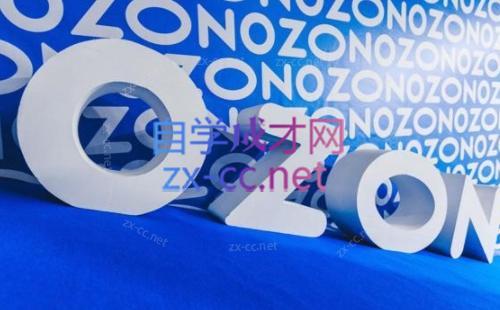 森哥·出海俄罗斯电商实操(2024)-百货大全