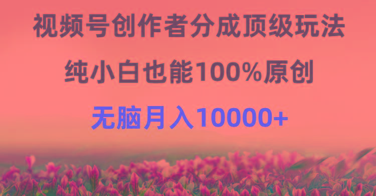 (9608期)视频号创作者分成顶级玩法，纯小白也能100%原创，无脑月入10000+-百货大全