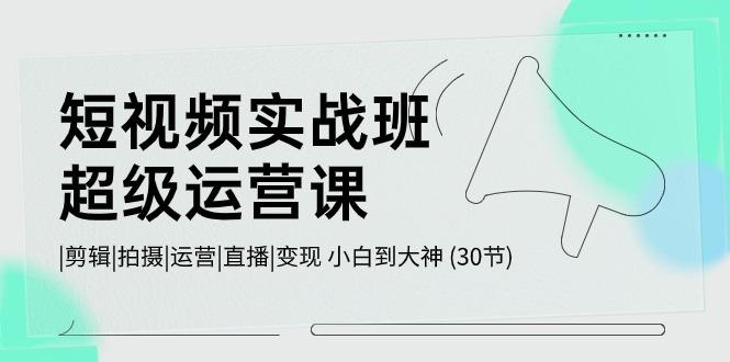 短视频实战班超级运营课 |剪辑|拍摄|运营|直播|变现 小白到大神 (30节)-百货大全