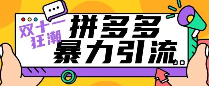 【首发】双十一拼多多暴力引流，日引300+微信-百货大全