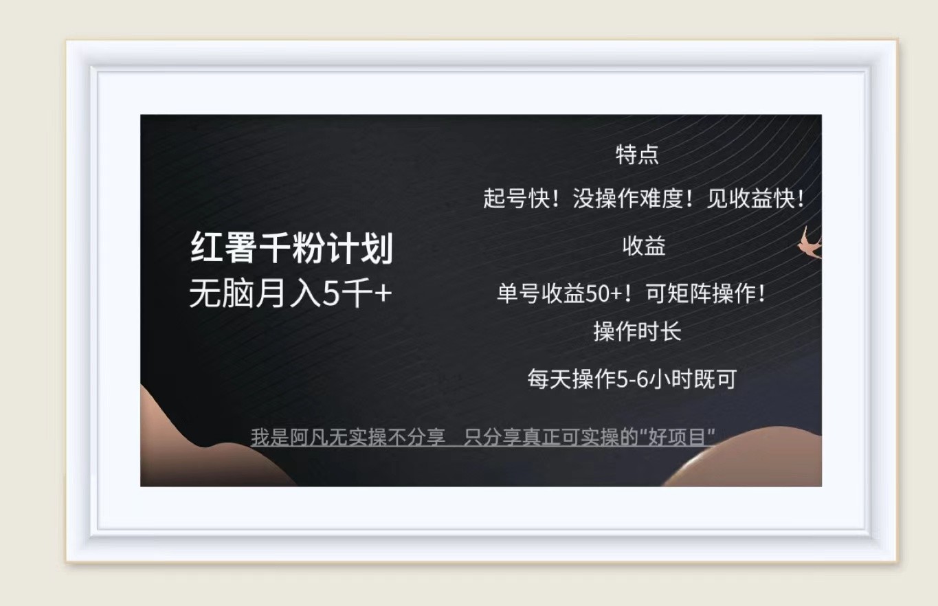 红薯千粉计划无脑月入5千+！既做既赚！-百货大全