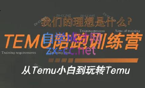 苗苗·拼多多跨境（temu）课程-百货大全