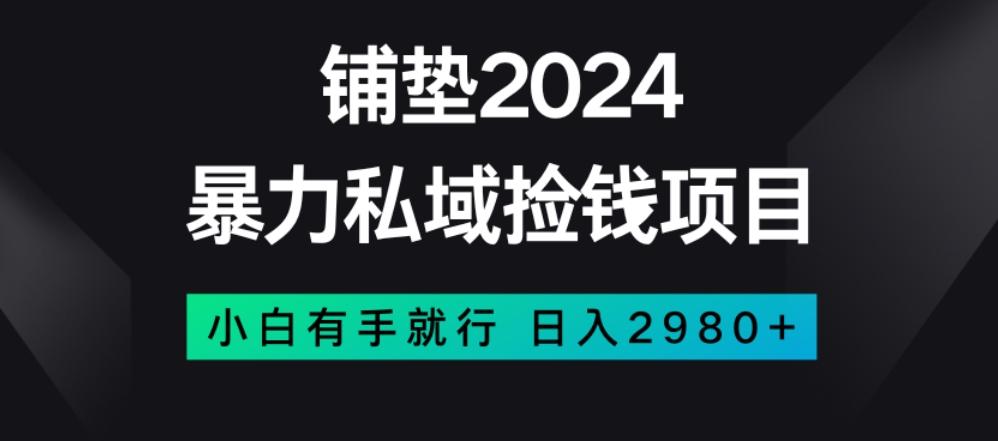 暴力私域捡钱项目，小白无脑操作，日入2980【揭秘】-百货大全