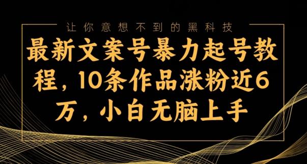 最新文案号暴力起号教程，10条作品涨粉近6万，小白无脑上手-百货大全