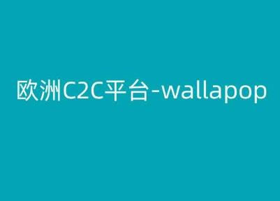 欧洲C2C平台-wallapop-kim跨境电商教程-百货大全