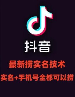 最新技术抖音捞实名+捞手机号技术，抖音直播封禁释放十名/手机号，直接替换出来!-百货大全