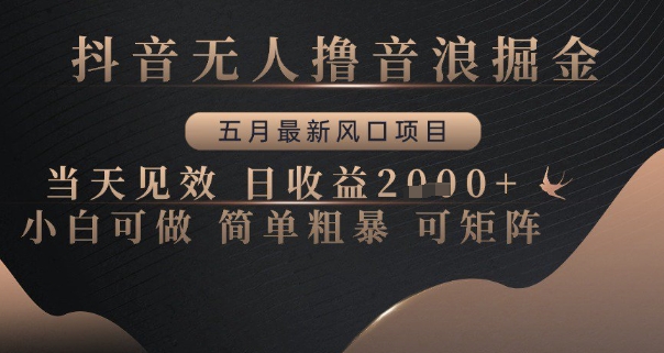 抖音无人撸音浪掘金，五月最新风口项目，当天见效，日收益多张，小白可做简单粗暴可矩阵【揭秘】-百货大全