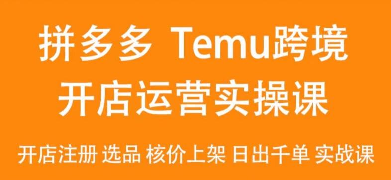 2024Temu最新玩法，Temu跨境开店运营实操课，开店注册/选品/核价上架/日出千单实战课-百货大全