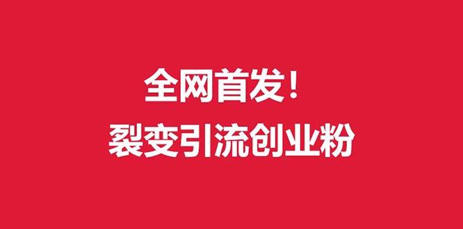 (全网首发)外面收费几千的裂变引流高质量创业粉-百货大全