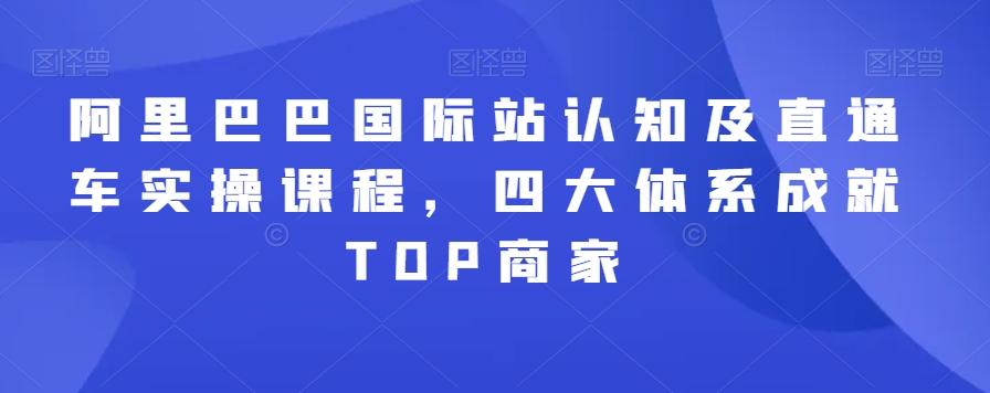 阿里巴巴国际站认知及直通车实操课程，四大体系成就TOP商家-百货大全