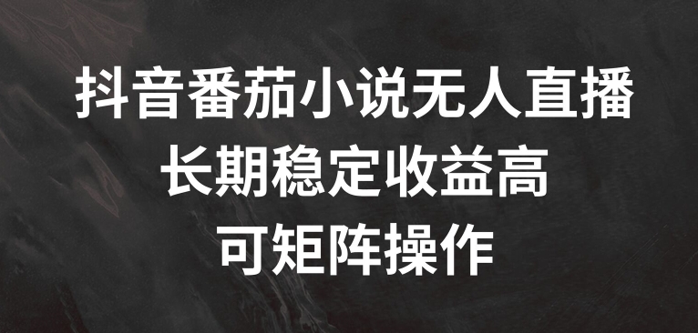 抖音番茄小说无人直播，长期稳定收益高，可矩阵操作【揭秘】-百货大全