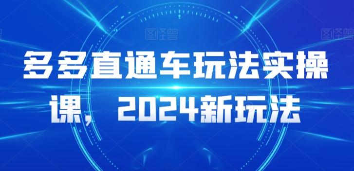 多多直通车玩法实操课，2024新玩法-百货大全