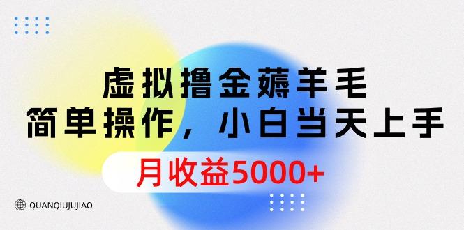 (9864期)虚拟撸金薅羊毛，简单操作，小白当天上手，月收益5000+-百货大全