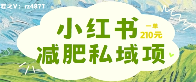 小红书减肥粉，私域变现项目，一单就达210元，小白也能轻松上手【揭秘】-百货大全