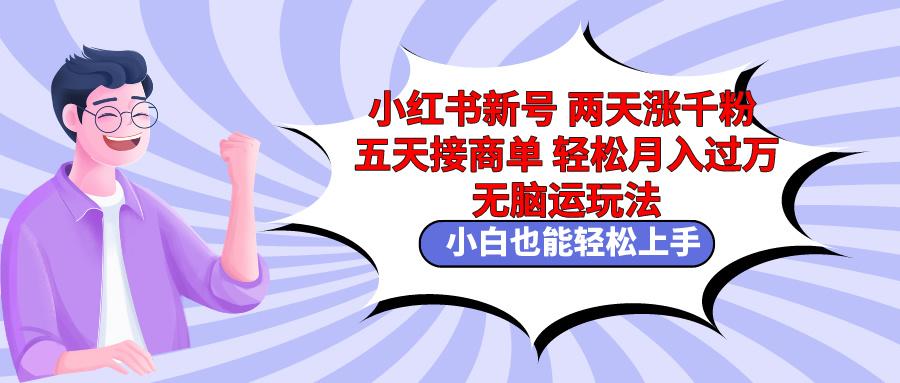 小红书新号两天涨千粉五天接商单轻松月入过万 无脑搬运玩法 小白也能轻…-百货大全
