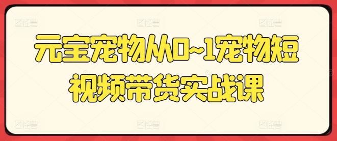 元宝宠物从0~1宠物短视频带货实战课-百货大全