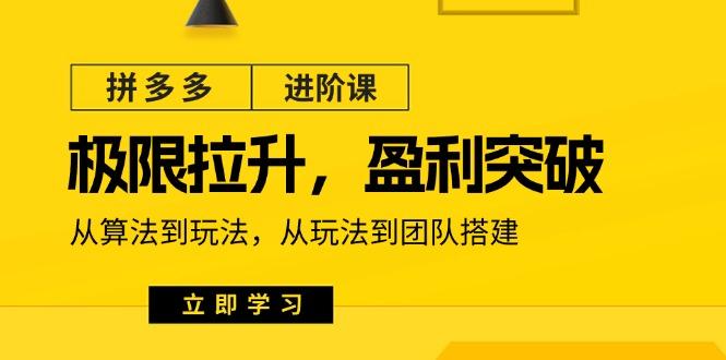 拼多多·进阶课：极限拉升/盈利突破：从算法到玩法 从玩法到团队搭建-18节-百货大全