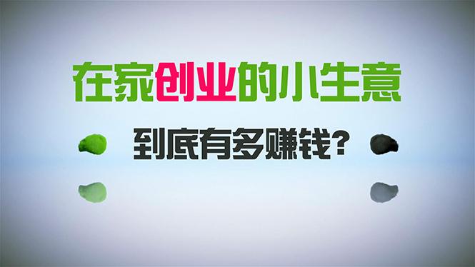 在家创业，日引300+创业粉，一年收入30万，闷声发财的小生意，比打工强-百货大全