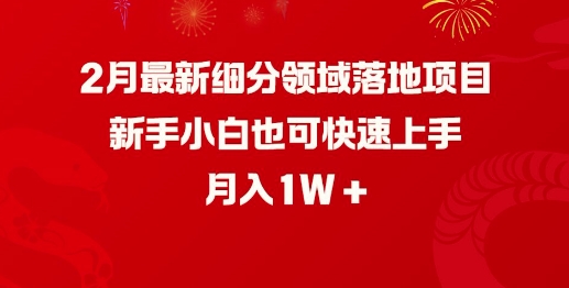 2月最新细分领域落地项目，新手小白也可快速上手，月入1W-百货大全