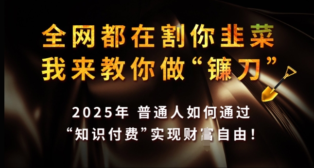 全网都在割你韭菜，我来教你做镰刀，2025年普通人如何通过 知识付费 实现财F自由【揭秘】-百货大全