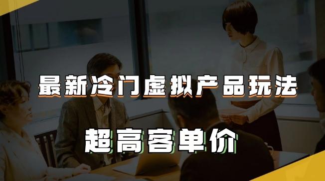 最新冷门虚拟产品玩法，超高客单价，月入2-3万＋【揭秘】-百货大全