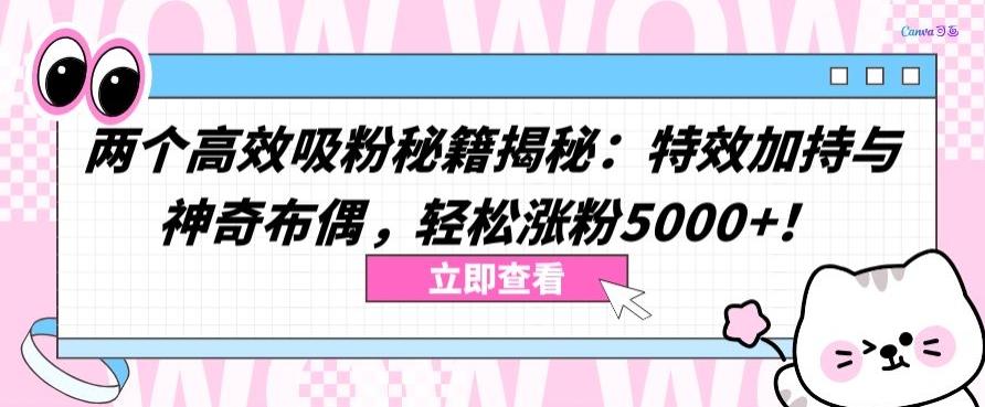 两个高效吸粉秘籍揭秘：特效加持与神奇布偶，轻松涨粉5000+【揭秘】-百货大全