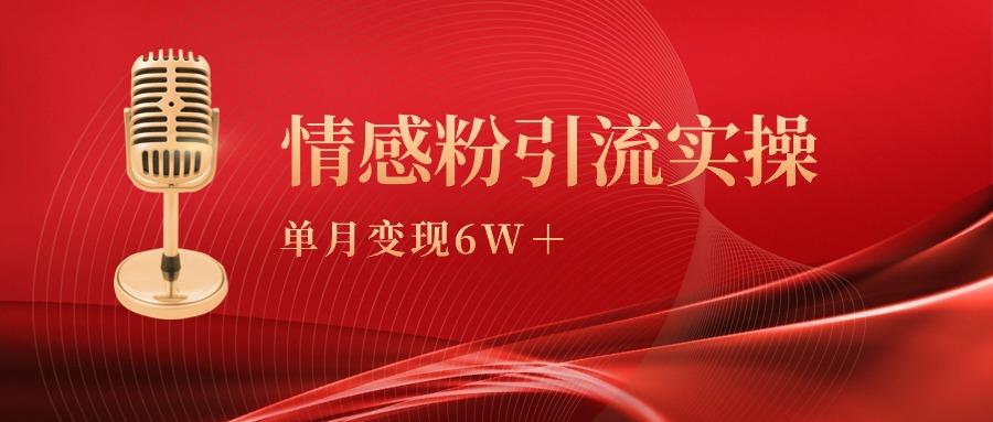(9473期)单月变现6w+，情感粉引流变现实操课-百货大全