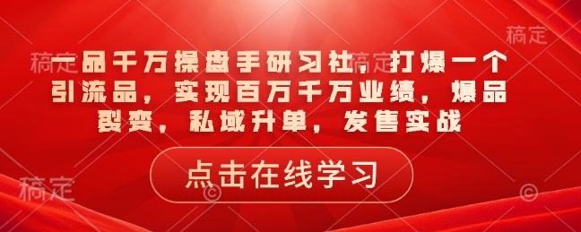 一品千万操盘手研习社，打爆一个引流品，实现百万千万业绩，爆品裂变，私域升单，发售实战-百货大全