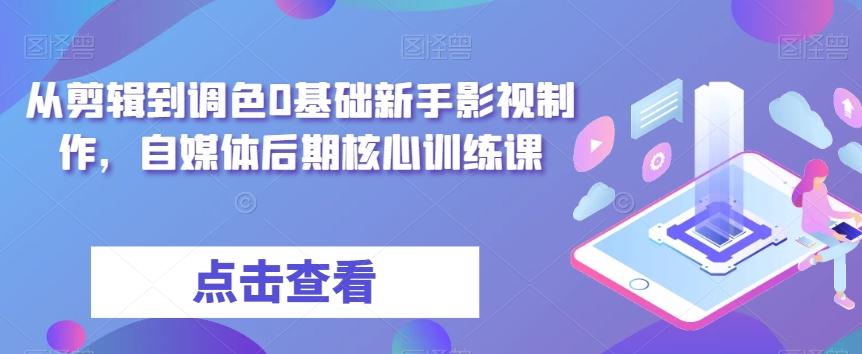 从剪辑到调色0基础新手影视制作，自媒体后期核心训练课-百货大全