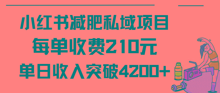 (9466期)小红书减肥私域项目每单收费210元单日成交20单，最高日入4200+-百货大全