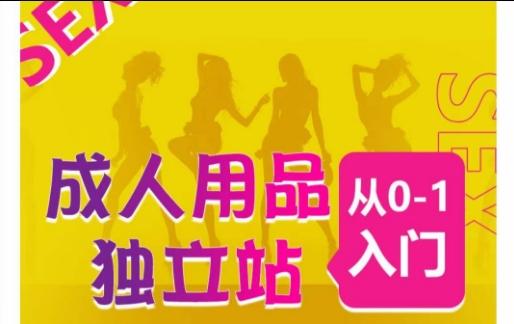 成人用品独立站从0-1入门，成品独立站运营全流程教学，七大好卖成品独立站推荐-百货大全