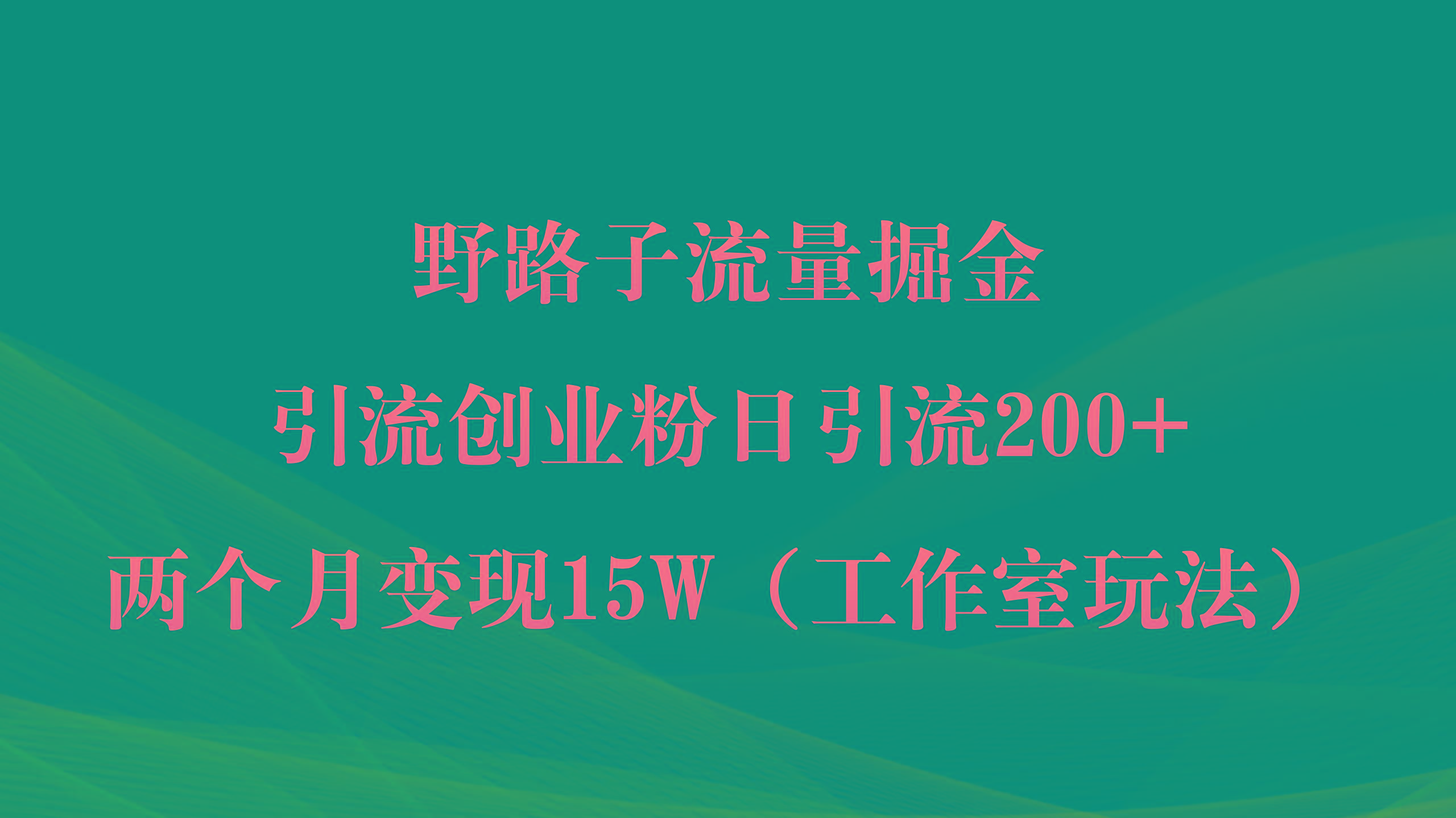 (9513期)野路子流量掘金，引流创业粉日引流200+，两个月变现15W(工作室玩法))-百货大全