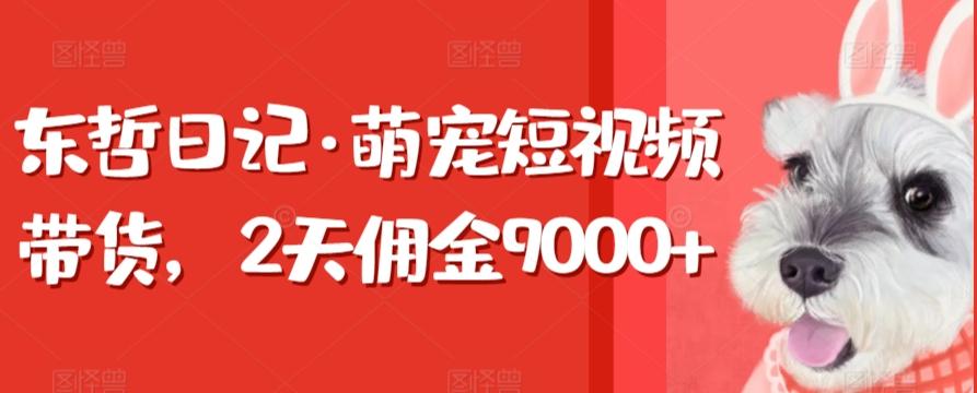 东哲日记·萌宠短视频带货，2天佣金9000+-百货大全