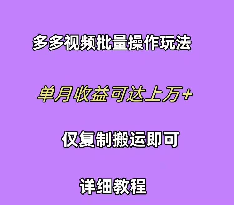 (10029期)拼多多视频带货快速过爆款选品教程 每天轻轻松松赚取三位数佣金 小白必…-百货大全