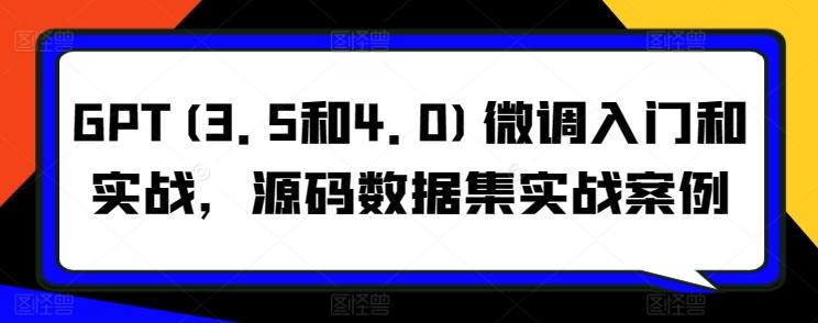 GPT(3.5和4.0)微调入门和实战，源码数据集实战案例-百货大全