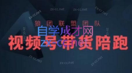 狼团联盟·2024视频号带货-百货大全