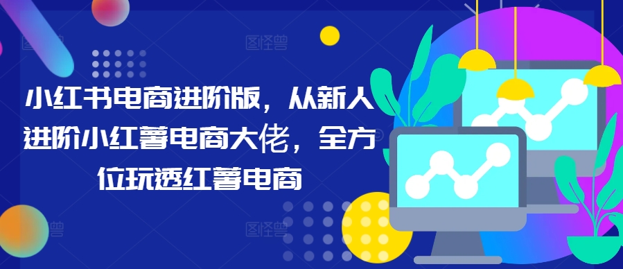 小红书电商进阶版，从新人进阶小红薯电商大佬，全方位玩透红薯电商-百货大全