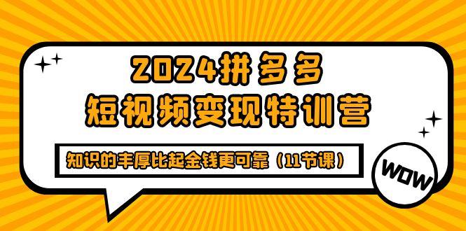 (9817期)2024拼多多短视频变现特训营，知识的丰厚比起金钱更可靠(11节课)-百货大全