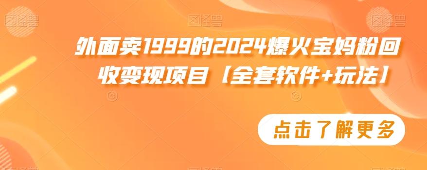 外面卖1999的2024爆火宝妈粉回收变现项目【全套软件+玩法】【揭秘】-百货大全