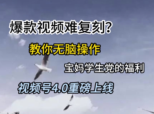 视频号4.0重磅上线，爆款视频难复刻？教你无脑操作宝妈学生党的福利【揭秘】-百货大全