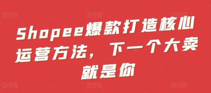 Shopee爆款打造核心运营方法，下一个大卖就是你-百货大全