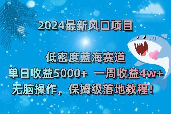 (8545期)2024最新风口项目 低密度蓝海赛道，日收益5000+周收益4w+ 无脑操作，保…-百货大全