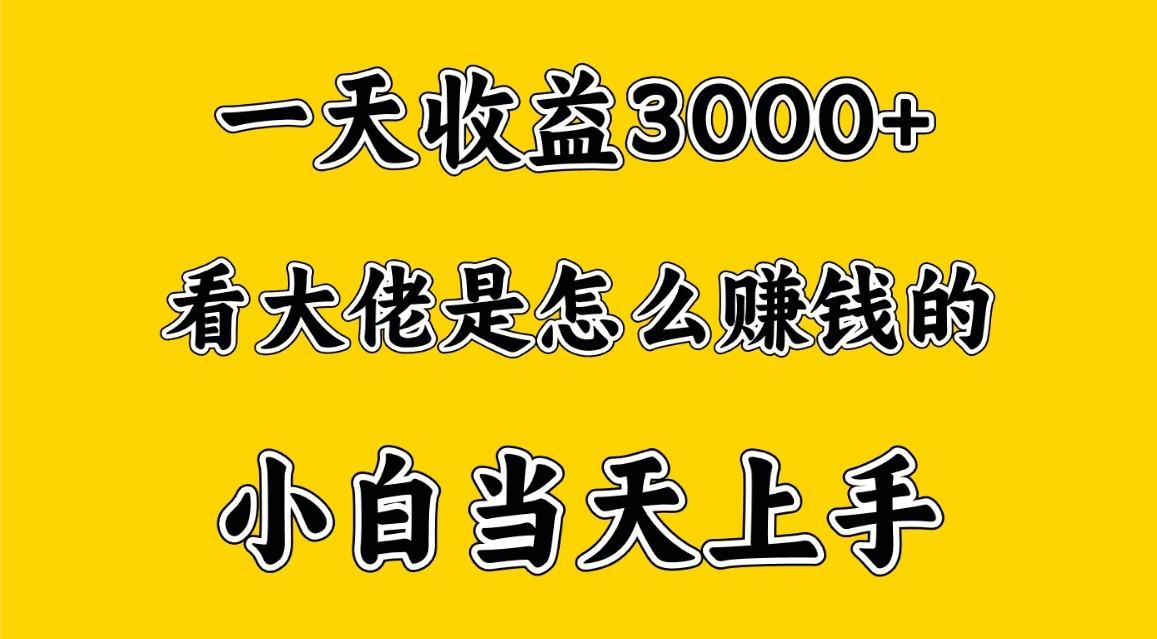 一天赚3000多，大佬是这样赚到钱的，小白当天上手，穷人翻身项目-百货大全