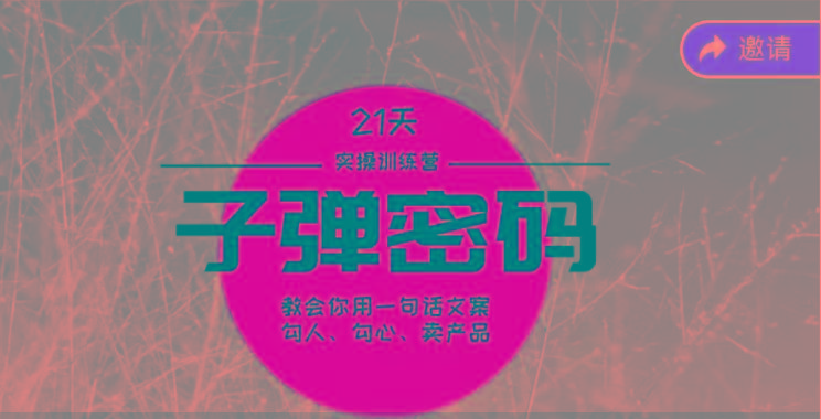 《子弹密码训练营》-用一句话文案勾人勾心卖产品，21天学到顶尖文案大师策略和技巧-百货大全