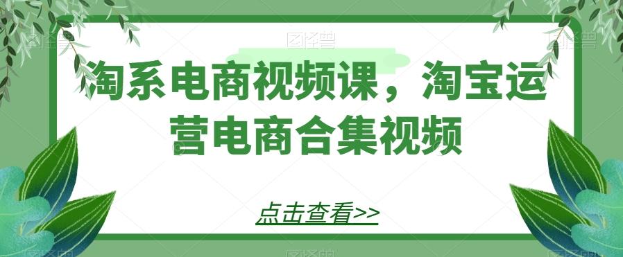 淘系电商视频课，淘宝运营电商合集视频-百货大全