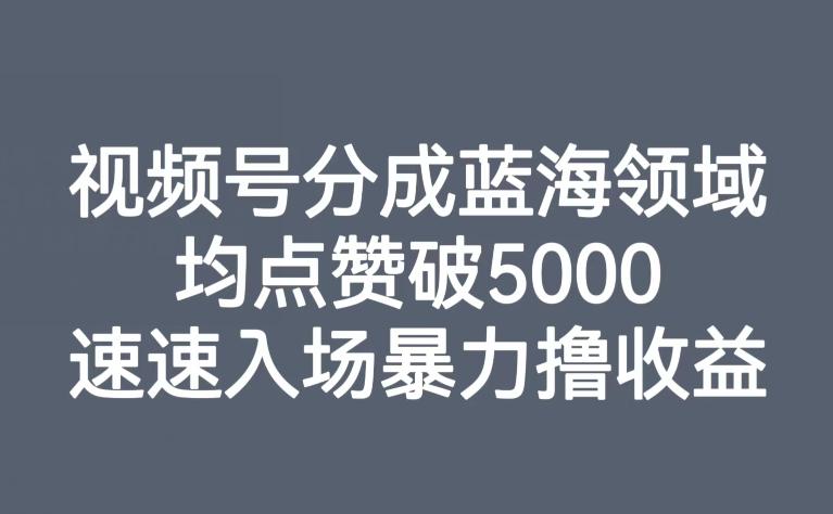 视频号分成蓝海领域，均点赞破5000，速速入场暴力撸收益-百货大全