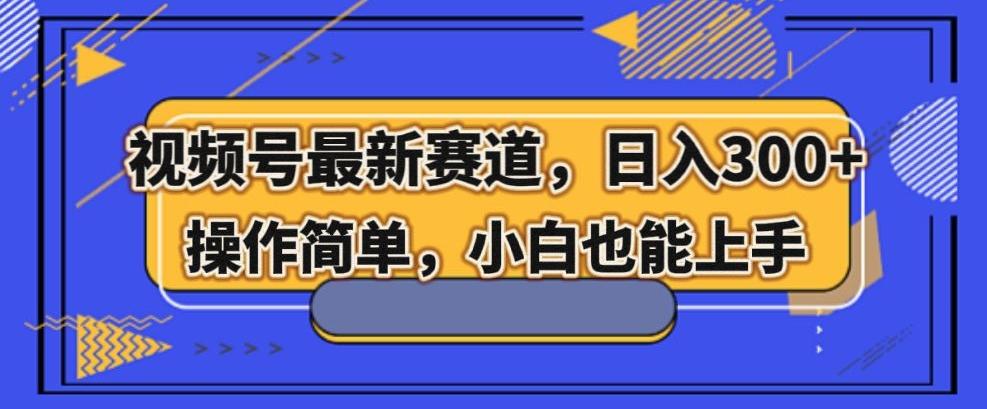 视频号最新赛道，日入300+，新手小白轻松掌握-百货大全