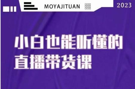 大威本威·能听懂的直播带货课，小白也能听懂，20节完整-百货大全
