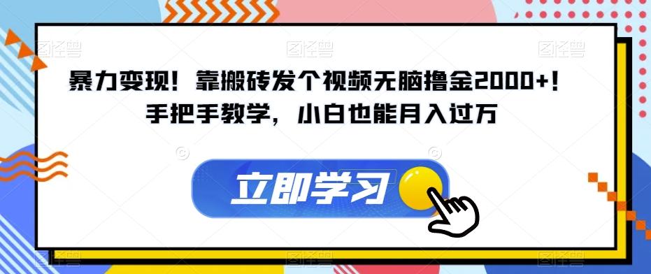 暴力变现！靠搬砖发个视频无脑撸金2000+！手把手教学，小白也能月入过万【揭秘】-百货大全